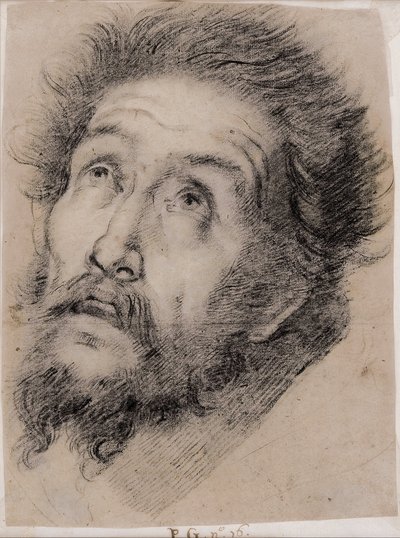 Studie für den heiligen Franziskus von Assisi, der das Kreuz anbetet von Bernardo Strozzi