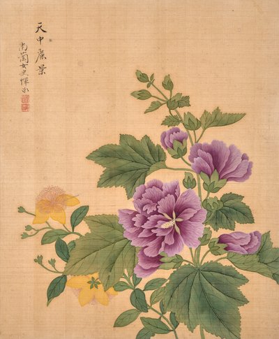 Blumenalbum von Bing Yun