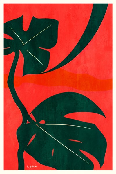 Monstera Dschungelblätter von Bo Anderson