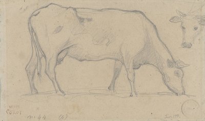 Weidende Kuh, rechts oben nochmals ein Kuhkopf von Camille Corot