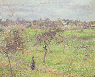 Apfelbäume auf einer Wiese bei Eragny, 1894 von Camille Jacob Pissarro