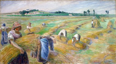 Die Ernte - Camille Pissarro, 1882 - National Museum of Western Art, Tokio von Camille Pissarro