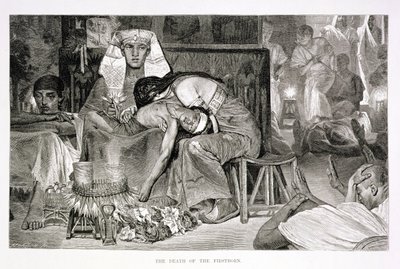 Der Tod des Erstgeborenen, 19. Jahrhundert von Carl Friedrich Heinrich Werner