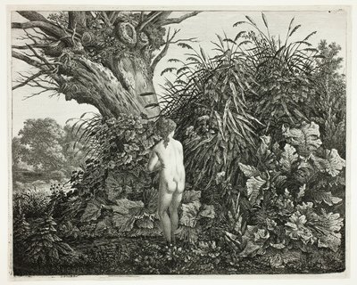 Nymphe in einem sumpfigen Wald von Carl Wilhelm Kolbe, the elder