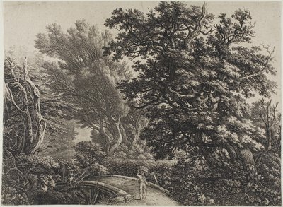 Rustikale Brücke in einem verworrenen Wald von Carl Wilhelm Kolbe, the elder