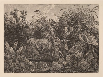Die Kuh im Sumpf von Carl Wilhelm Kolbe, the elder