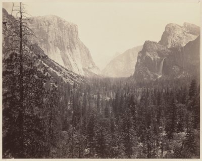 Das Yosemite-Tal vom Mariposa-Pfad von Carleton E. Watkins
