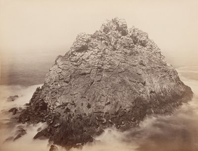 Sugar Loaf Islands, Farallons, 1868-69 von Carleton Emmons Watkins