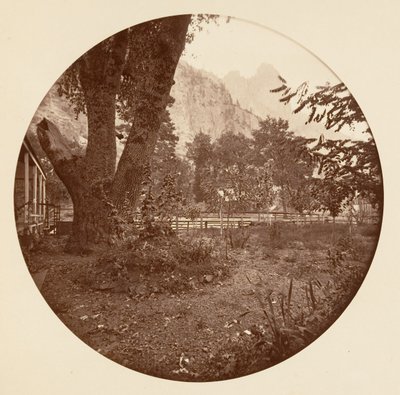 [Yosemite-Nationalpark, Kalifornien], ca. 1878 von Carleton Emmons Watkins