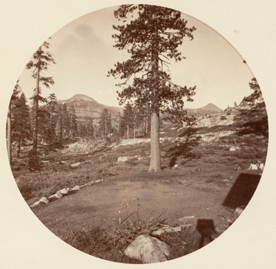 [Yosemite-Nationalpark, Kalifornien], ca. 1878 von Carleton Emmons Watkins