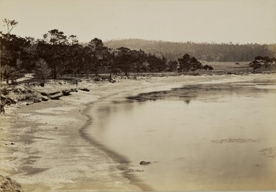 Küstenansicht in der Nähe von Monterey von Carleton Watkins