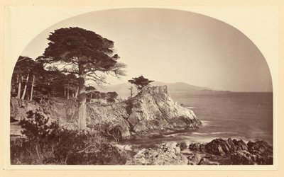 [Cypress Pt. von Cypress Drive, Monterey Cal.] von Carleton Watkins
