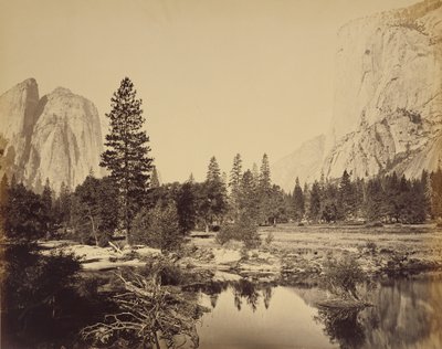 Das Tal hinunter von Carleton Watkins