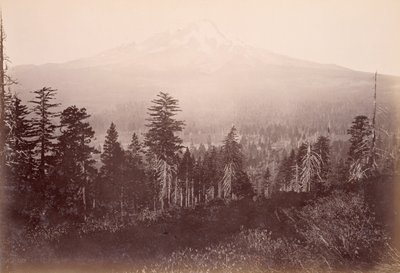 [Mount Shasta] von Carleton Watkins