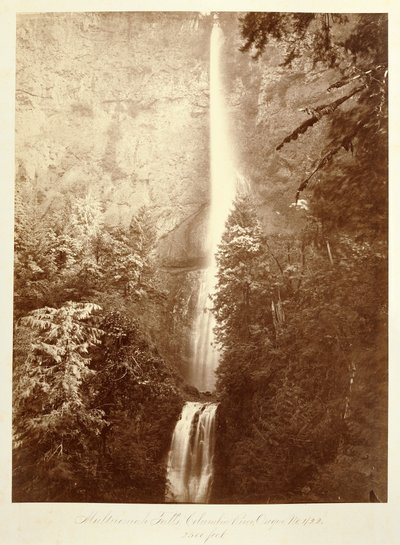 Multnomah Falls, Columbia River, Oregon, 2500 Fuß von Carleton Watkins