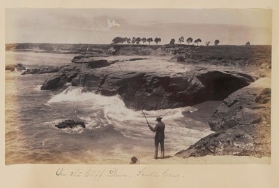 Auf der Klippenstraße, Santa Cruz von Carleton Watkins