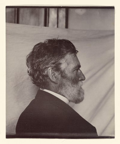 Porträt von George Davidson von Carleton Watkins