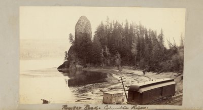 Rooster Rock, Columbia River von Carleton Watkins
