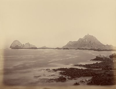 Seal Point vom Westende, Farallons von Carleton Watkins
