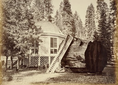  von Carleton Watkins