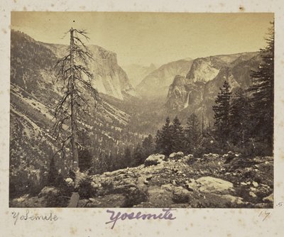 Das Yosemite-Tal, vom Mariposa-Pfad, Yosemite-Tal, Mariposa County, Kalifornien (Nr. 1138) von Carleton Watkins