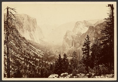 [Das Yosemite vom Inspiration Point] von Carleton Watkins