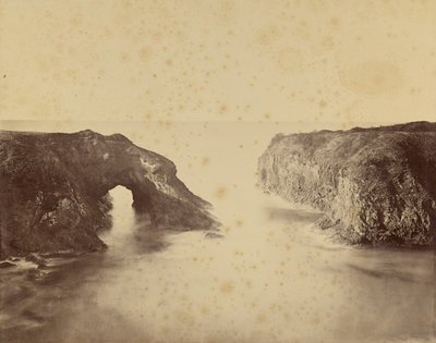 Blick auf die Pazifikküste, Mendocino von Carleton Watkins