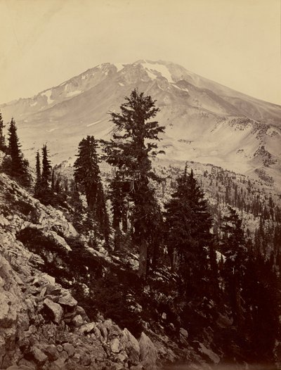 [Williamsonii, Mt. Shasta] von Carleton Watkins
