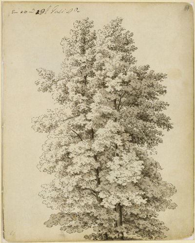 Baumgruppe von Caspar David Friedrich
