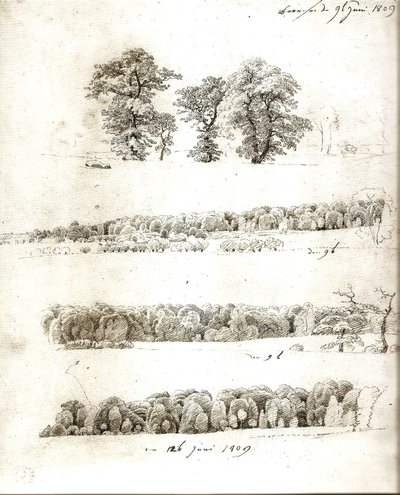Baumstudien 1809 von Caspar David Friedrich