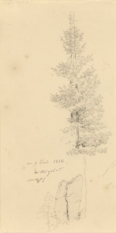 Studie mit Fichten und Felsen von Caspar David Friedrich