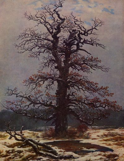 Eiche im Schnee von Caspar David Friedrich