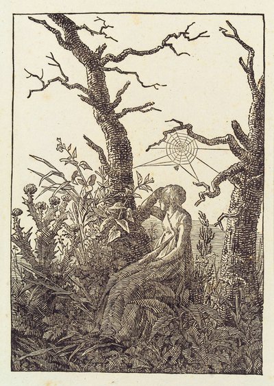 Die Frau mit dem Spinnennetz von Caspar David Friedrich