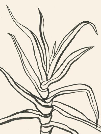 Minimalistische Pflanzenumrisse von Catalina Somolinos