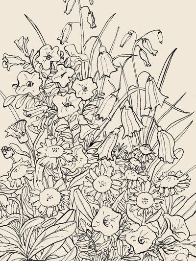 Wilde Gartenblumen von Catalina Somolinos