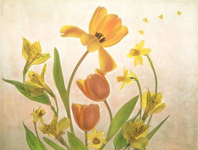 Goldene Frühlingsblumen von Catherine Wang