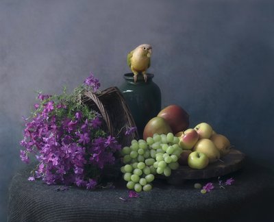 Stillleben mit Papagei von Catherine Wang