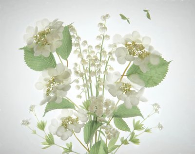 Weiße Liliental Bouquet von Catherine Wang