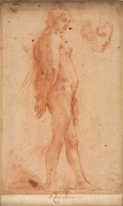 Studie eines stehenden männlichen Aktes, mit einer Studie eines Kopfes im Dreiviertelprofil, ca. 1640 von Cecco Bravo