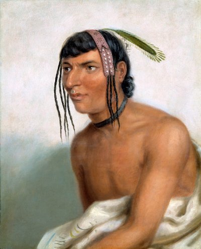  von Charles Bird King