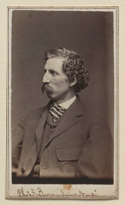 Charles Farrar Browne von Charles DeForest Fredricks