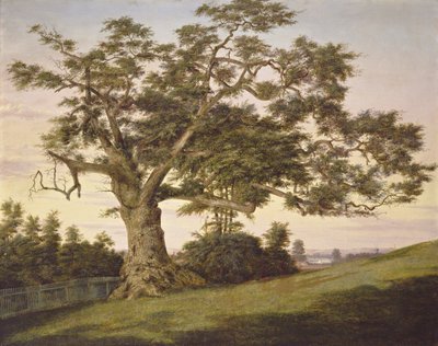 Die Charter Oak von Charles de Wolf Brownell