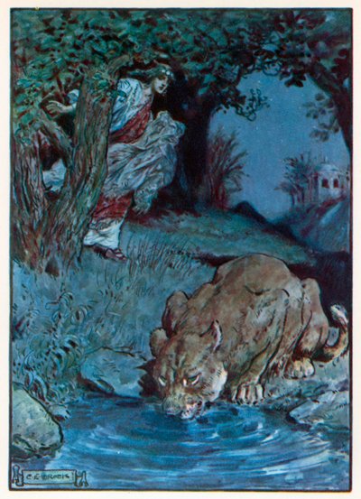 Ein unwillkommenes Geschöpf von Charles Edmund (after) Brock