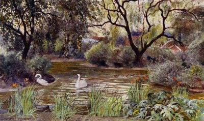 Londoner Zoo: Drei-Insel-Teich (Farblithografie) von Charles Edwin Flower