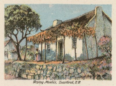 Südafrika: Trocknen von Mais, Zuurbrak, CP von Charles Ernest Peers