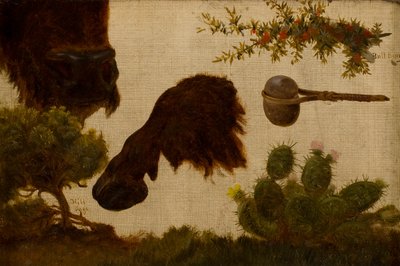 Studie für „Der verwundete Büffel“: Hügel-Salbei, Büffelkopf und Huf, Bullenbeere, Steinbeil und Kaktus … von Charles Ferdinand Wimar