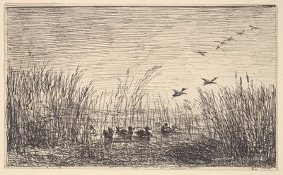 Enten in den Sümpfen, [1862], neu gedruckt 1921 von Charles Francois Daubigny