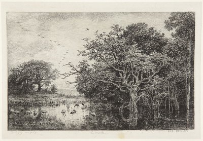Der Storchensumpf von Charles Francois Daubigny