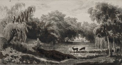 Der Teich mit Hirschen, 1845 von Charles Francois Daubigny