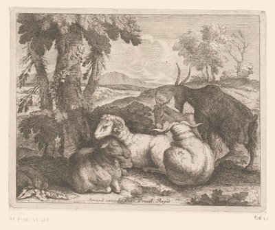 Schafe und Ziegen unter einem Baum (Tierserie) von Charles II Errard (attributed to)